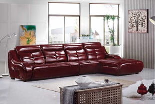 尤納斯家居真皮沙發保養 因為珍貴，所以珍惜