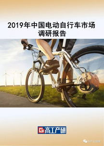 2019年中國電動(dòng)自行車行業(yè)市場調(diào)研報(bào)告
